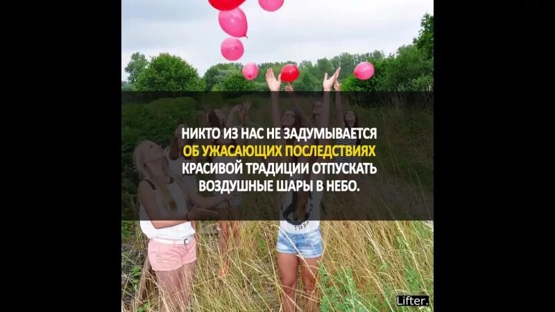 Шарики надувные. Птицы запутавшиеся в воздушных шарах. Воздушные шарики и экология. Шары в небо запрет. Шары в небо запрет.