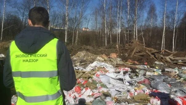 Экология надзор. Экологический надзор. экологическая инспекция. государственный экологический надзор. инспектор экологического надзора.