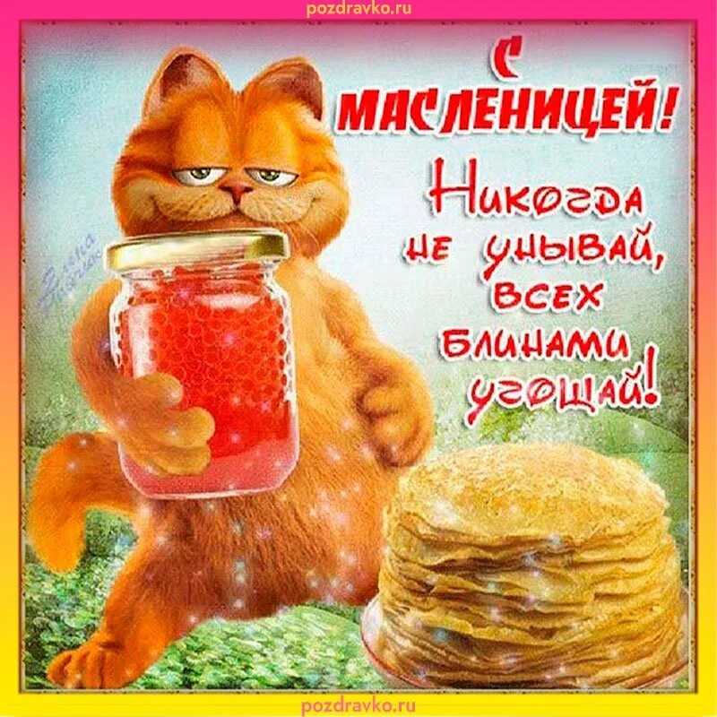 Масленица открытка смешная. Неделя масленицы. Открытки с масленицей прикольные. С наступающей масленицей. Праздник масленица.