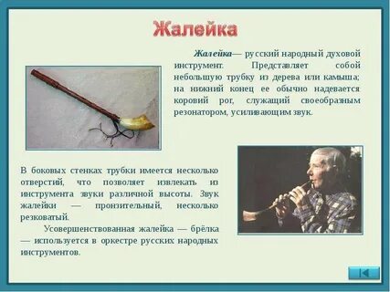 Из жизни музыкальных инструментов проект