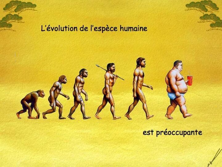 Des abrutis des putes перевод. Эволюция человека. Эволюция человека шутка. Эволюция человека интересные факты. Эволюция смешные картинки.