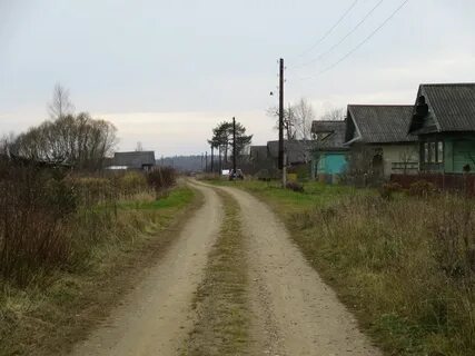 Некрасово фото