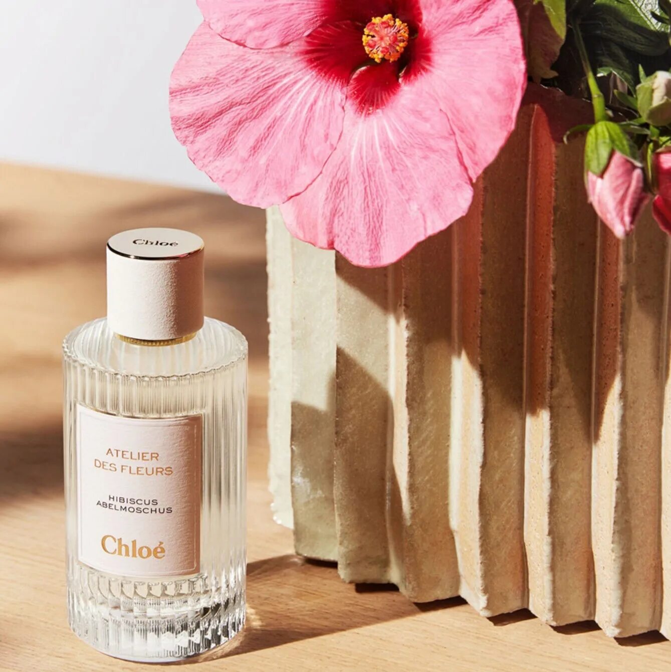 Chloe atelier lavanda. Bentley momentum unbreakable. Atelier de fleurs chloe. Atelier de fleurs chloe. Atelier de fleurs chloe.