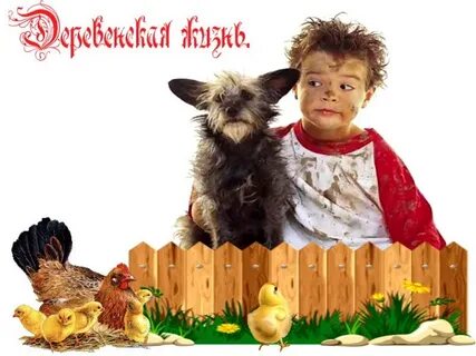 К бабушке в деревню увезли