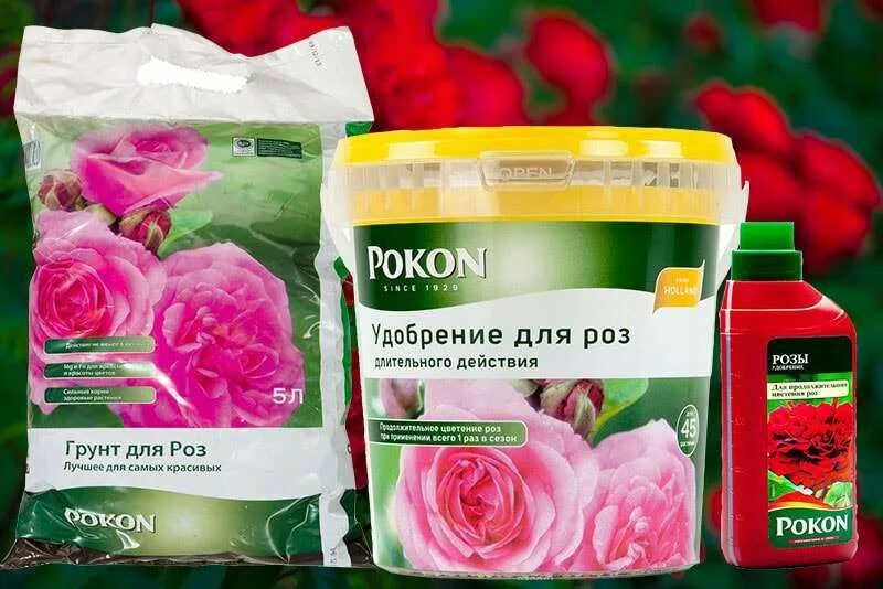 Удобрение для роз. Pokon для роз. Удобрение для цветения роз. Азотсодержащие удобрения для роз. Можно ли розам навоз