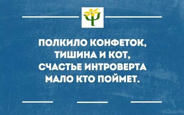 Интроверт на кухне. Полкило конфеток тишина. полкило конфеток тишина и кот. полкило конфеток тишина и кот счастье интроверта. тишина и кот счастье интроверта мало кто поймёт.