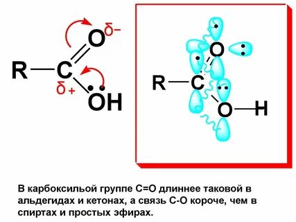 Гибридизация кислот