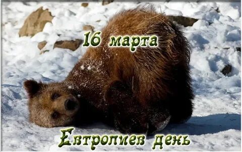 Просыпаемся от зимней спячки
