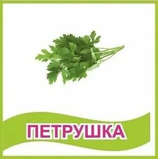 Петрушка детский сад