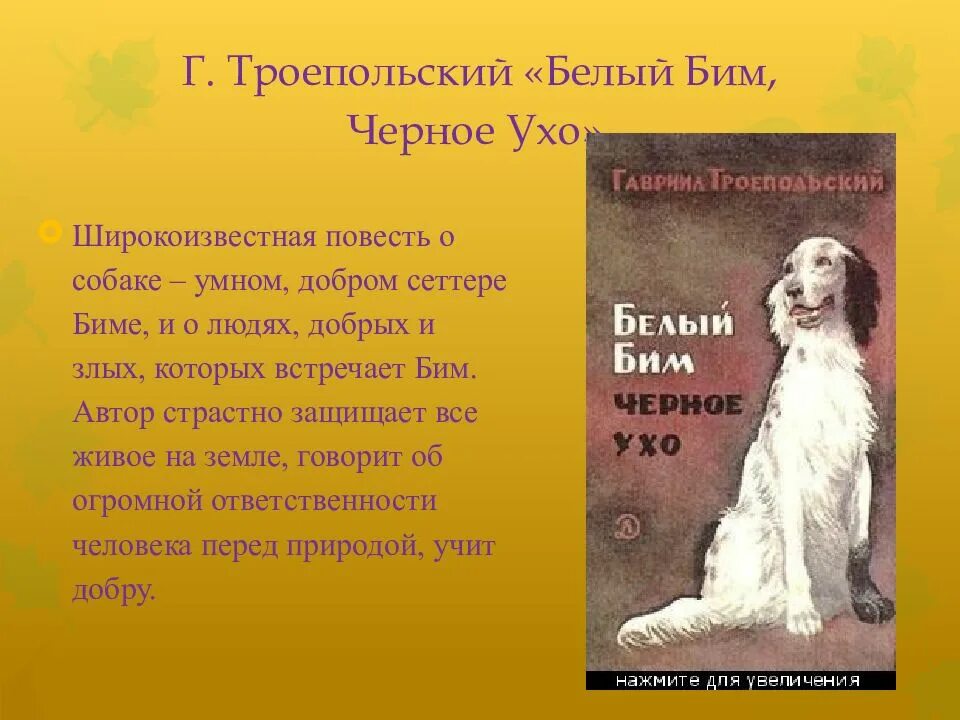 Читать книгу белый бим черное. Краткий пересказ белый бим черное ухо. белый бим чёрное ухо краткое содержание. троепольский белый бим черное ухо краткое содержание. собаки в литературных произведениях.