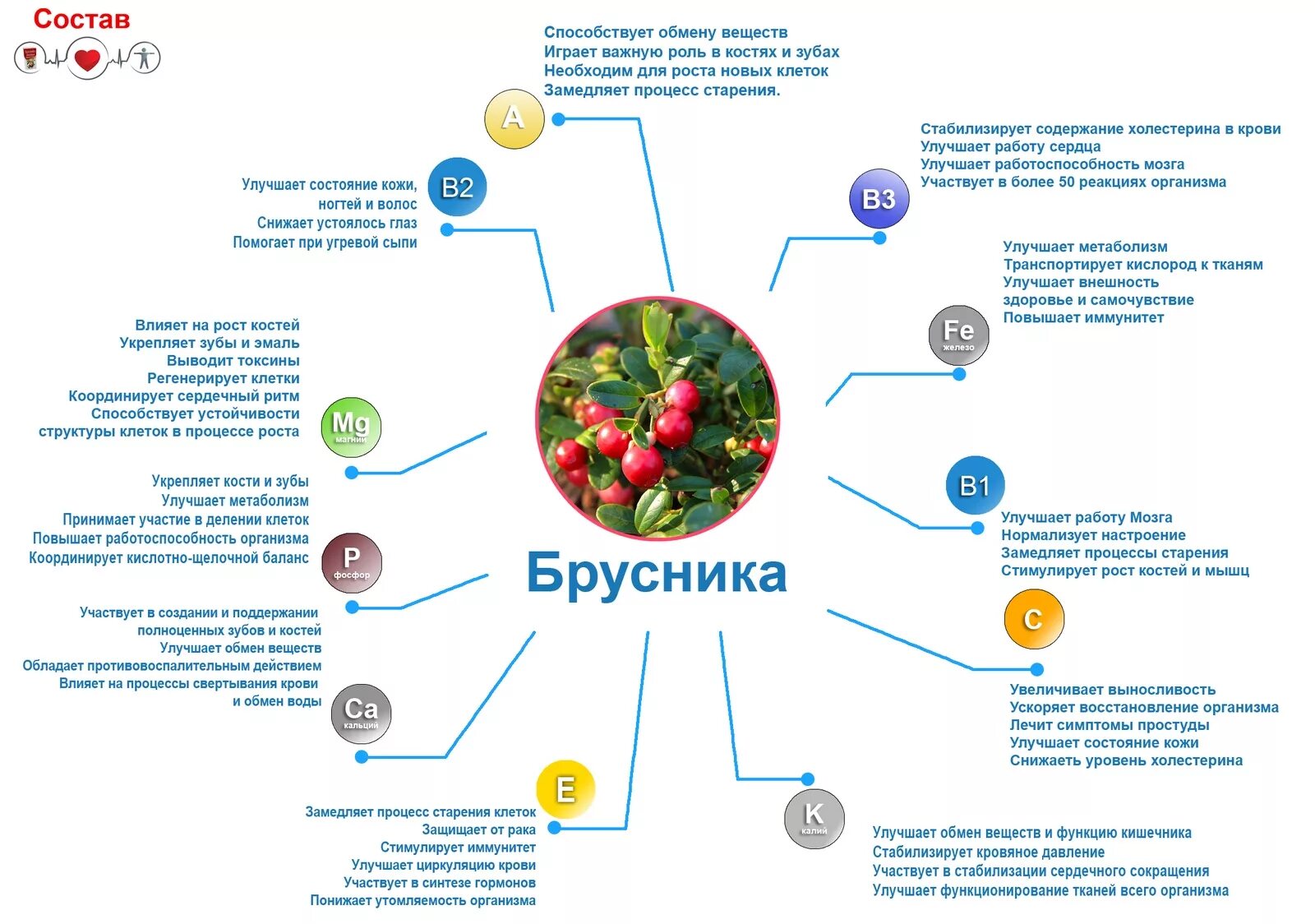 Как усилить обмен веществ. Как увеличить обмен веществ в организме. Как увеличить скорость обмена веществ. Как повысить основной обмен веществ.