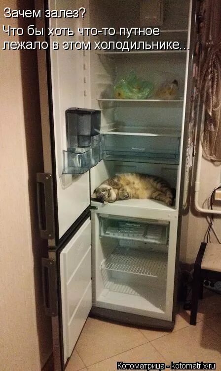 Зачем полез