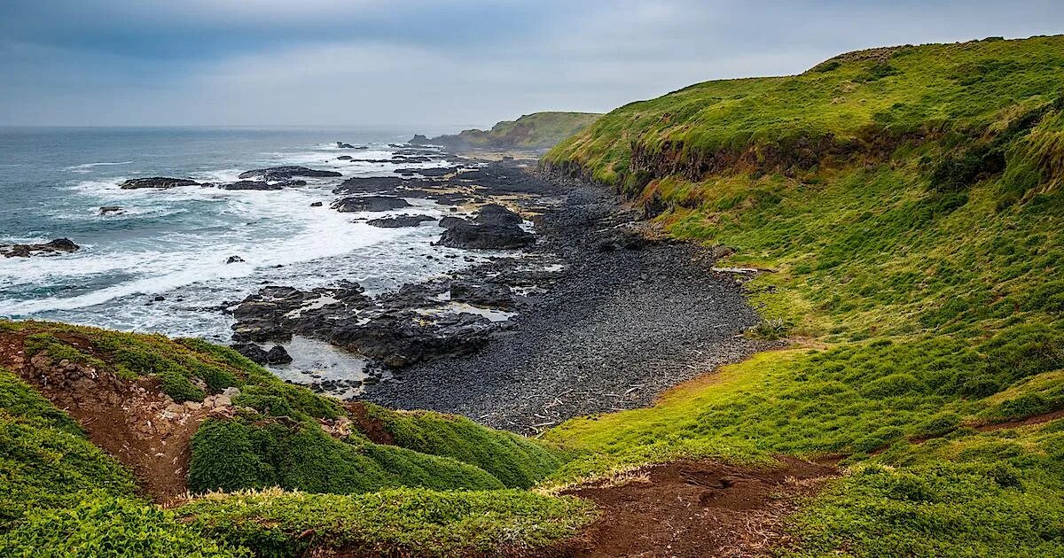 Берег Карского моря. Берег Карского моря летом. Побережье Карского моря. Природа побережья Карского моря.