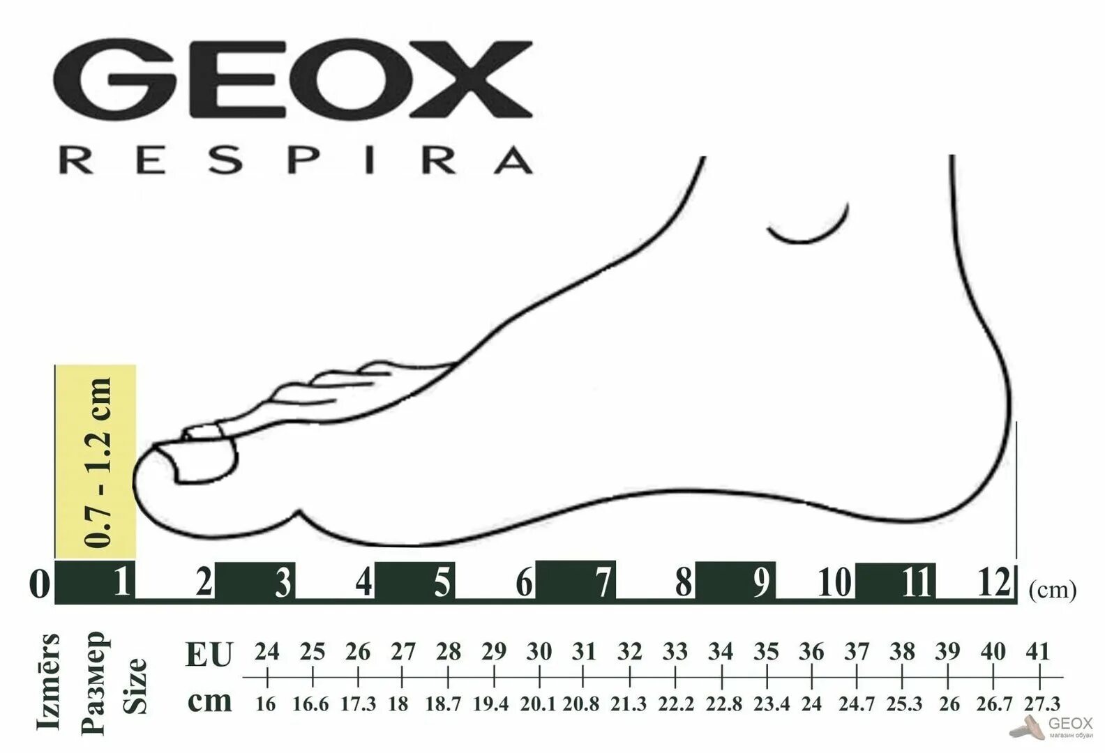 Стопа 16 см. Размерная сетка геокс детская обувь. Geox обувь Размерная сетка. Геокс Размерная сетка детской. Geox детская обувь Размерная сетка.