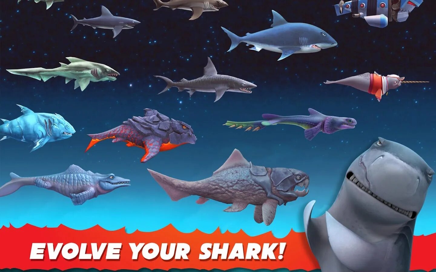 Как получить шарк. Hungry shark рифовая акула. хангри шарк эволюшн рыбы. хангри шарк эволюшн игрушки. акула мегалодон игра shark.