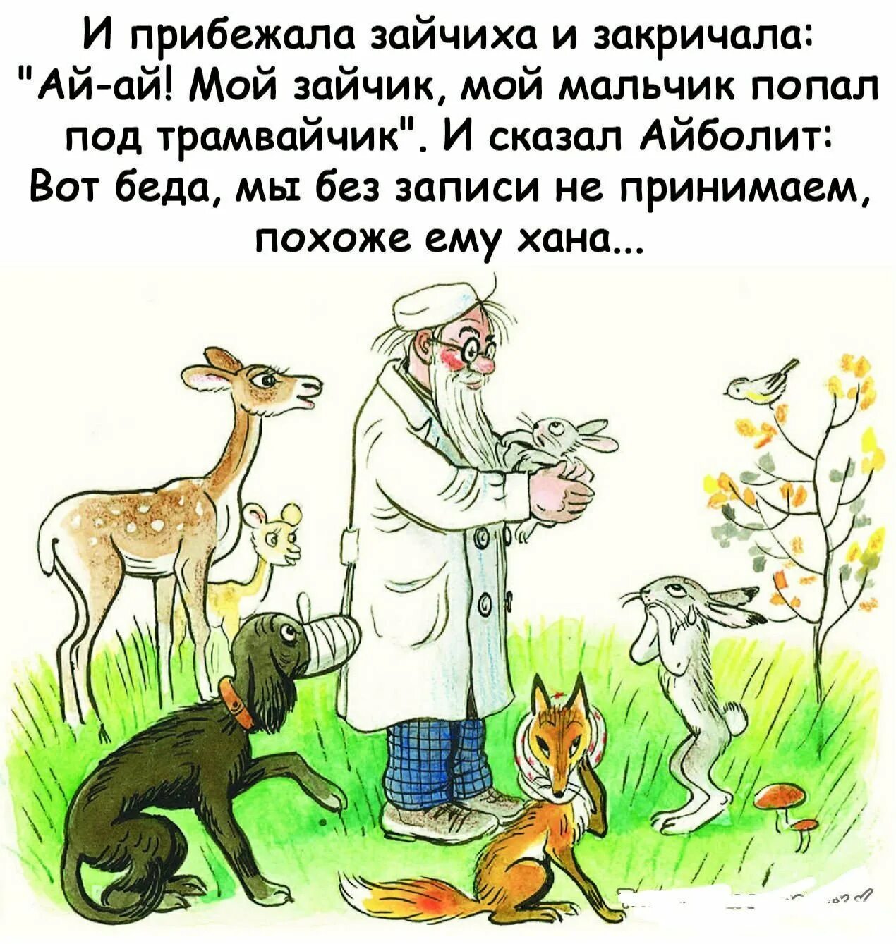 Попутка шакала в сказке про айболита 6. Доктор Айболит иллюстрации к сказке. Айболит иллюстрации к сказке Чуковского. Айболит: сказки. Чуковский к.. Доктор Айболит и зайчик.