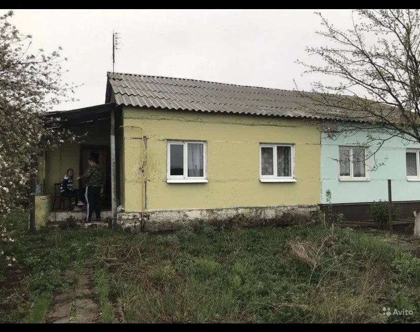Погода в запрудском каширского. Погода в запрудском каширского. Село запрудское. Запрудское воронежская область каширский. Воронежская область, каширский р-н, с.
