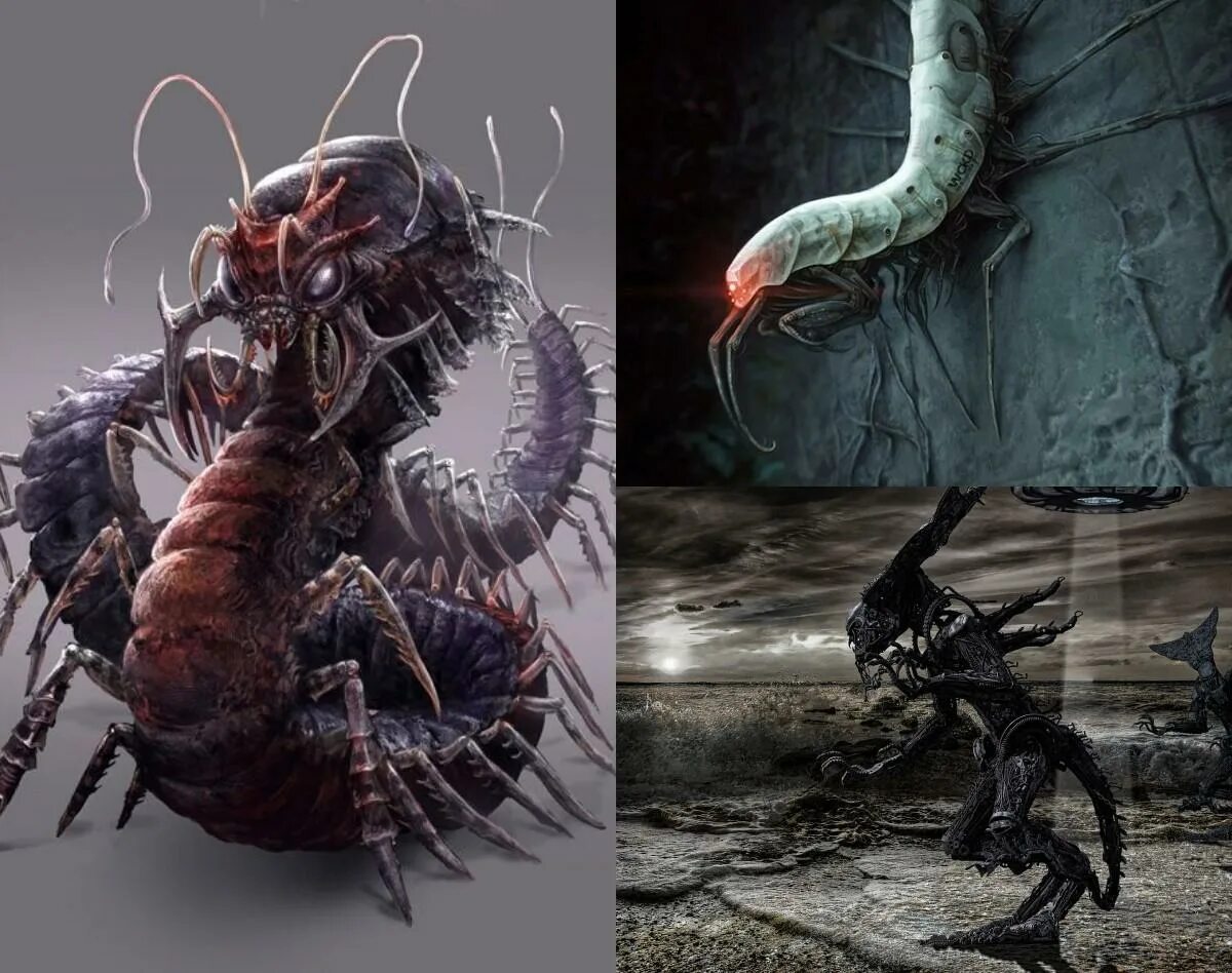 Червяков мутантов. Гусеница с рогом. Касаи рекс криптид. Червяков мутантов. Pathfinder гигантская многоножка.