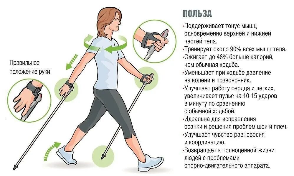 Как правильно ходить мужчине. Палки для скандинавской ходьбы. Скандинавская ходьба оздоровительный эффект. Техника ходьбы с палками. Правильная техника скандинавской ходьбы.