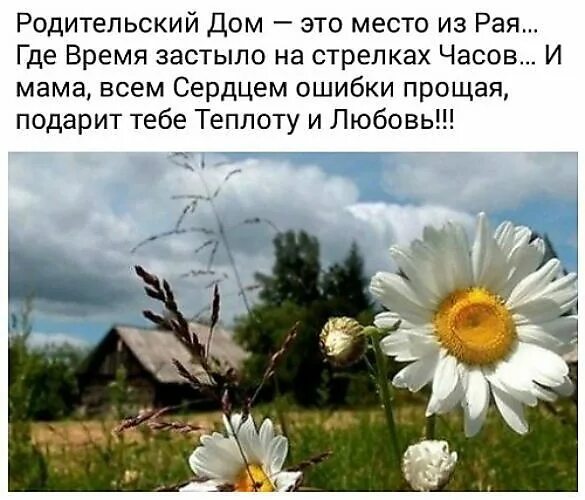 Родительский дом. Приезжают в родные места. Я хочу вернуться в детство. Приезжают в родные места. Родные места.