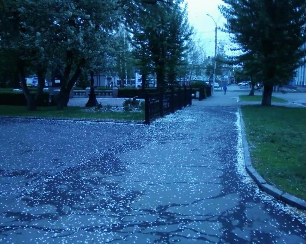 3 мп. Планетарный мотор редуктор 380 2. 1 3 мп. 3мп-40 мотор-редуктор. Мотор редуктор планетарный 3мп-40-18-07.