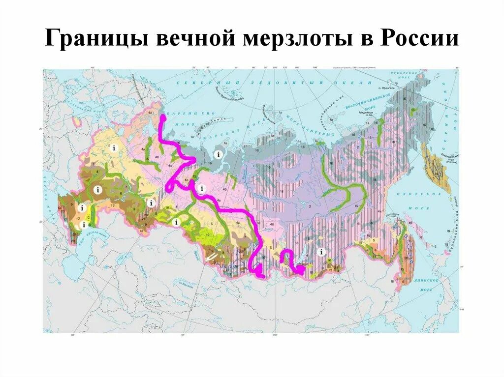 Вечная мерзлота в россии на карте. Граница распространения многолетней мерзлоты в России. Южная граница распространения многолетней мерзлоты. Карта распространения многолетней мерзлоты в России. Зона вечной мерзлоты в России на карте.