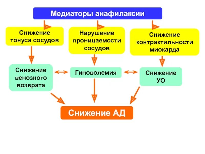 Патогенез анафилактического шока. Патогенез анафилактического шока схема. Медиаторы анафилактического шока. Механизм развития анафилактического шока. Анафилактический шок патогенез