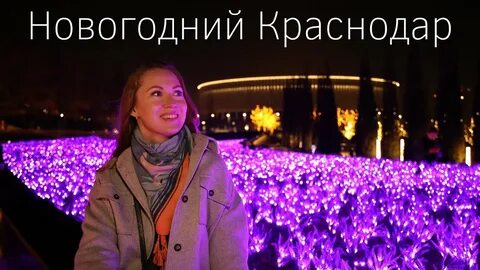 8 декабря краснодар