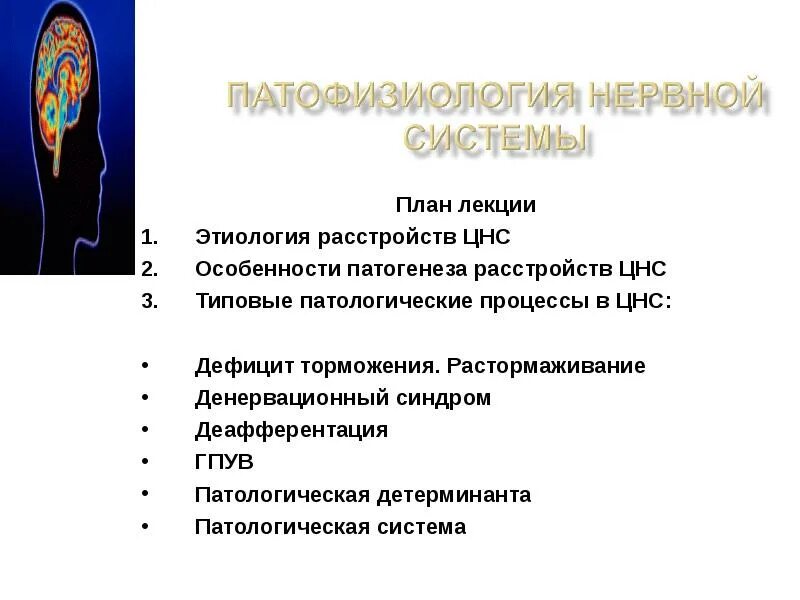 Дисфункция центральной нервной системы. Дисфункция центральной нервной системы
