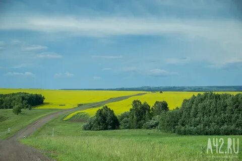 Кемерово шестаково расстояние на машине