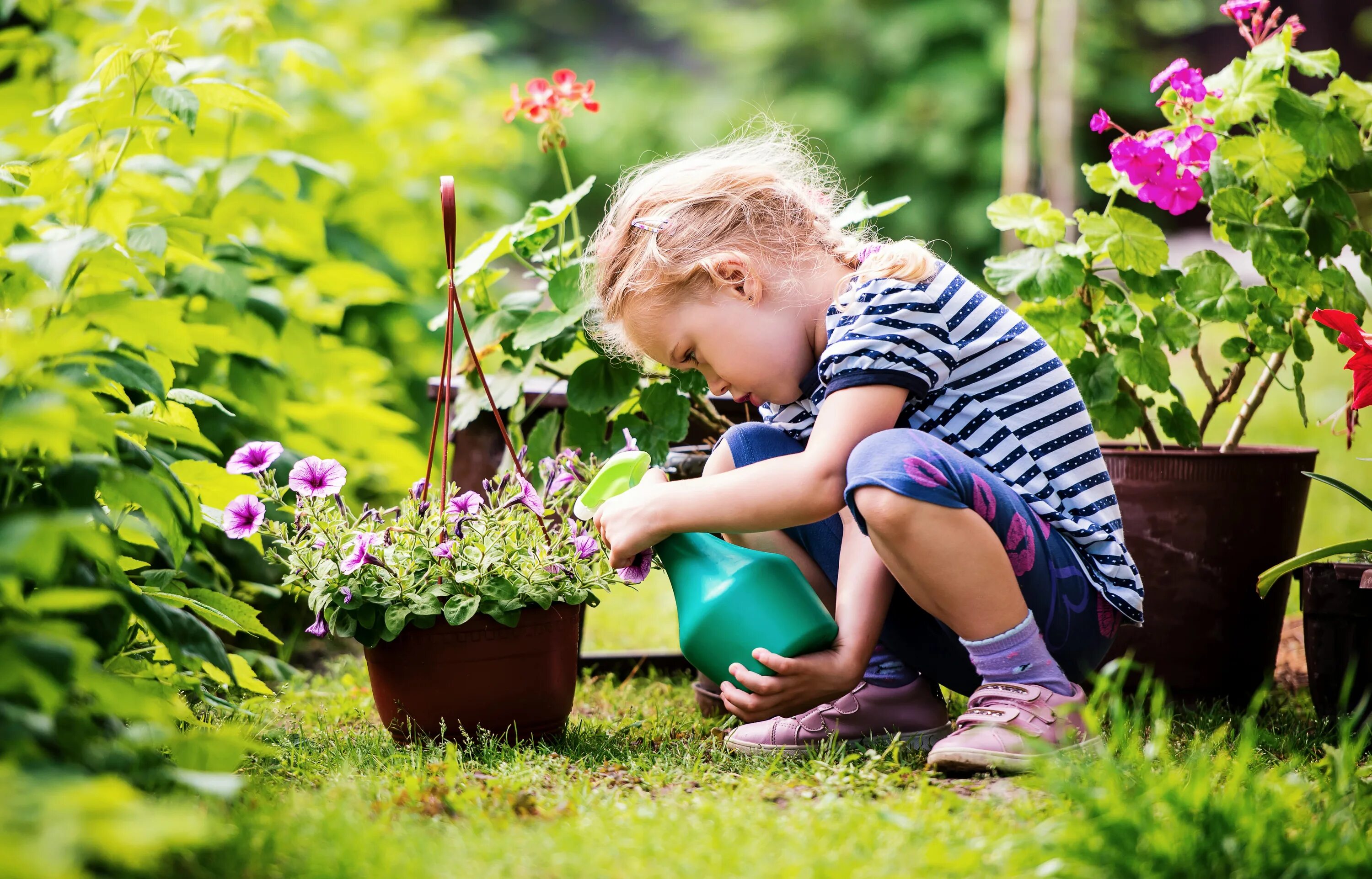 We were watering the plants. Дети и природа. Растения сада для детей. Цветы сада для детей. Дети в саду с цветами фотосессия.