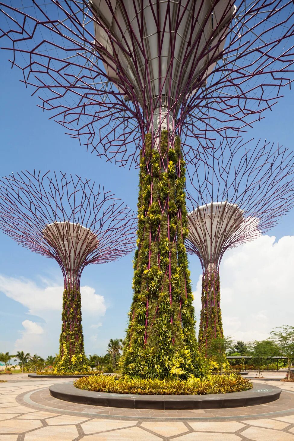 Самые удивительные парки. Висячие сады Сингапура. Гигантские деревья Сингапур. Необычные деревья. Красивое дерево.