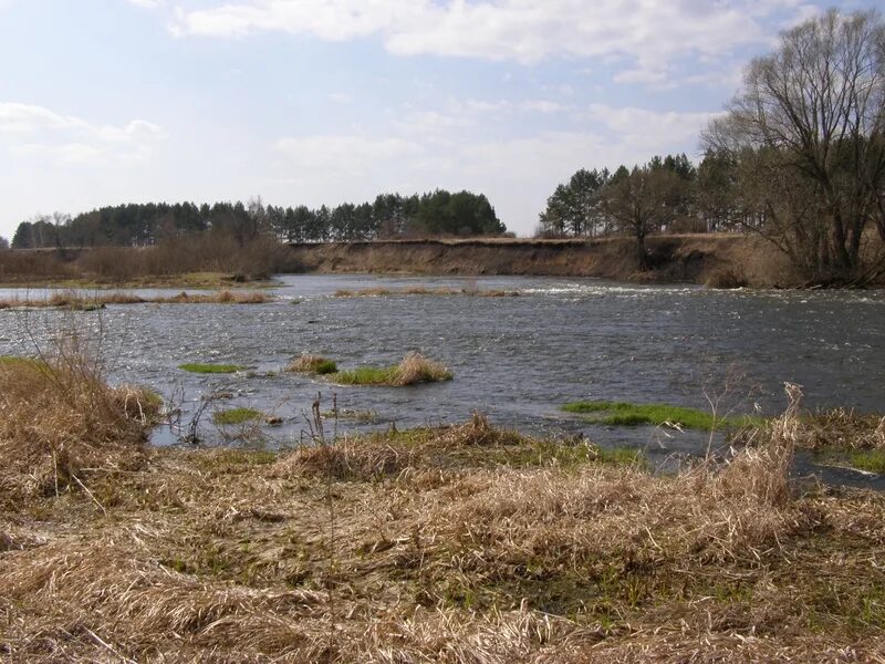гать. карамашева липецкая область. озеро гать липецкая область. озеро гать. озеро гать липецкая область.