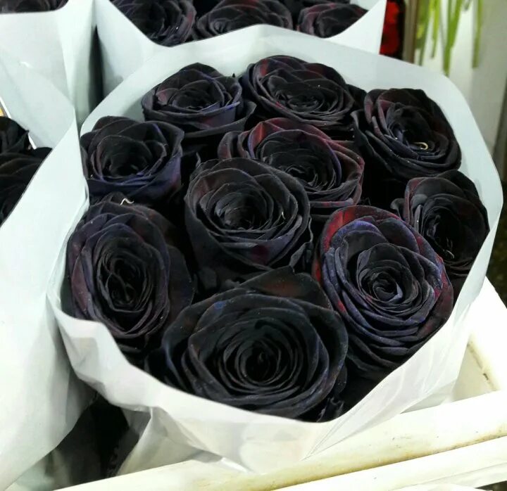 Где купить черные розы. Крашенные черные розы. Букет чёрных роз.