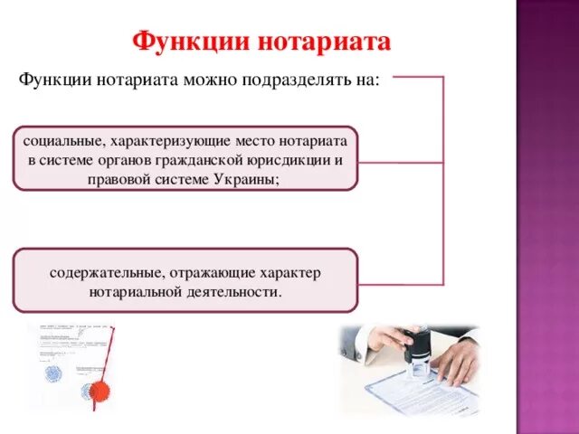 Нотариат рф относится. Основные функции нотариальной деятельности. Функции нотариальных органов. Функции нотариата в РФ. Структура органов нотариата.