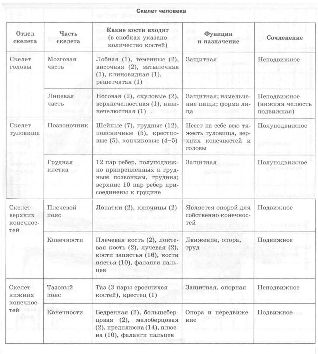 Отдел кости функции. Таблица отделы тела отделы скелета кости скелета. Таблица строение скелета человека биология. Таблица по биологии 8 класс отделы тела отделы скелета кости скелета. Таблица по биологии скелет головы и туловища.