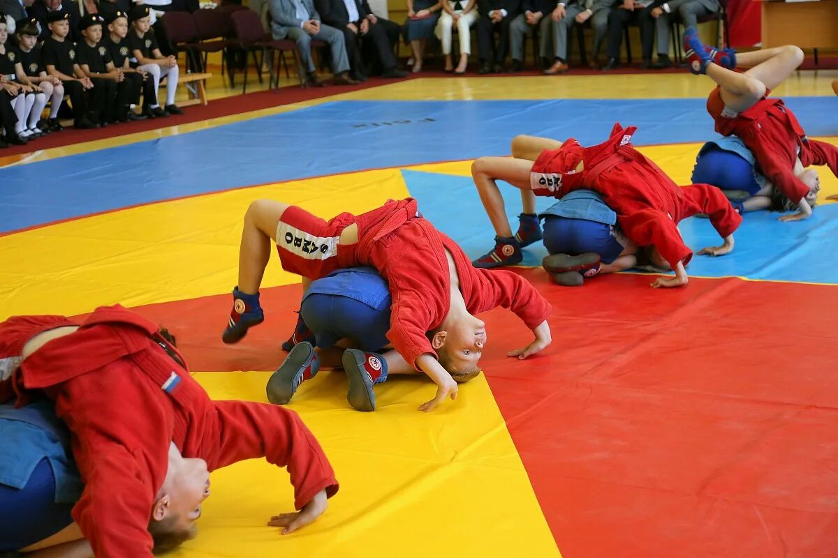 Тренировка самбистов. Боевое самбо спортсмены. Водный стадион динамо самбо. Самбо в школу. Спортивное самбо.