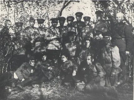 Стрелковые дивизии 1944 год