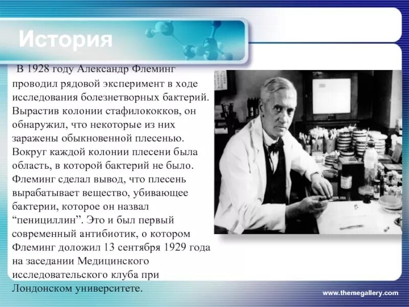 1928 год пенициллин. Александром Флемингом в 1928 год. Флеминг пенициллин 1928.