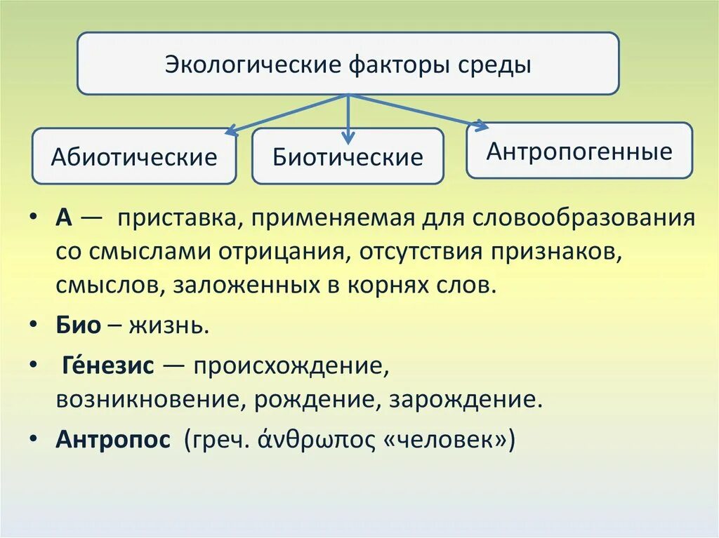 Какие факторы среды называют экологическими. Экологические факторы живой природы биотические. Факторы окружающей среды абиотические и биотические антропогенные. Экологические факторы среды абиотические биотические антропогенные. Биотические экологические факторы.