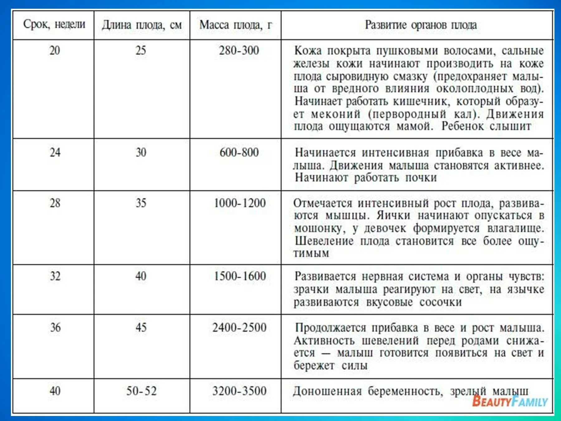 Периоды внутриутробного развития плода таблица. Таблица развития плода по неделям беременности. Этапы внутриутробного развития плода таблица. Формирование органов у плода по неделям.