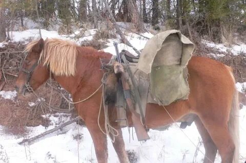 Погода буры