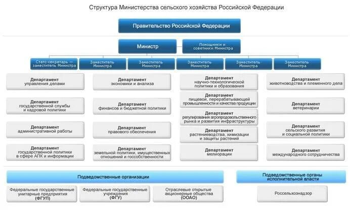 Комитеты и ведомства. Структура Министерства сельского хозяйства РФ схема. Состав и структура правительства РФ. Структура Министерства сельского хозяйства РФ 2020. Структура министерств РФ схема.