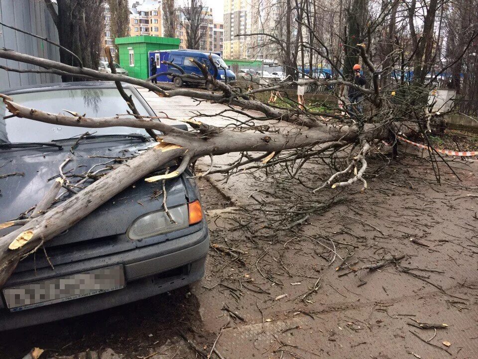 Ураган в башкирии сегодня. Ураган в башкирии. ураган башинформ. ураган в уфе. ураган в уфе вчера.
