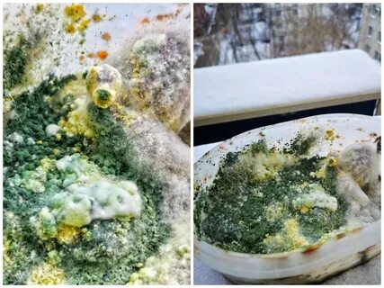 Плесень во сне