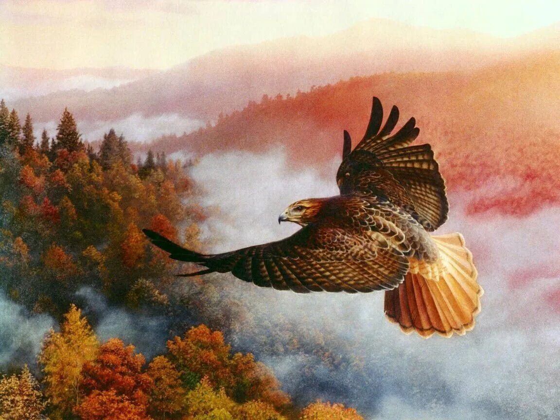Коршун в небе и человек живопись. Полет орла Джон Коган картины. Живопись птицы в полете. Пейзажи с орлами.