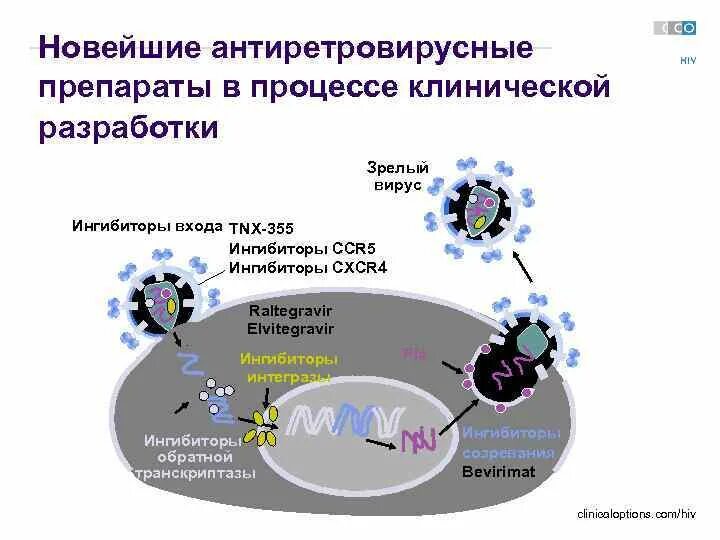 Ингибитор нового поколения