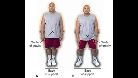 Base support