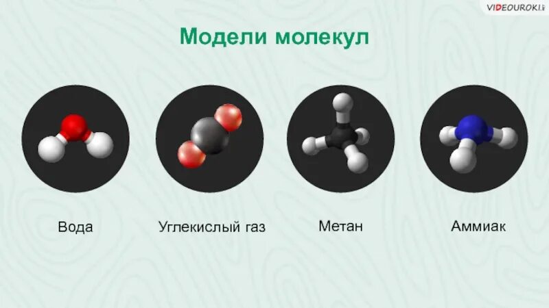 Какие молекулы