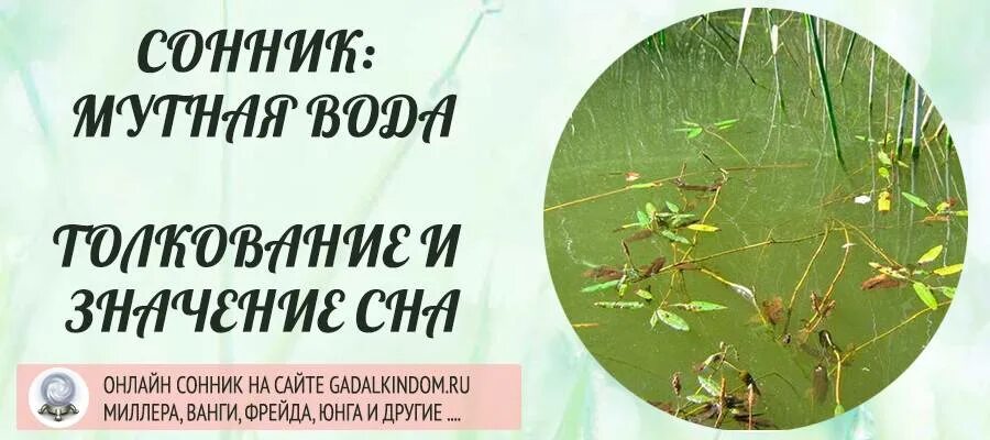 К чему снится купаться в грязной. К чему снится мутная вода. К чему снится грязная вода. Мутная вода во сне для женщины к чему. Видеть во сне мутную воду в реке.